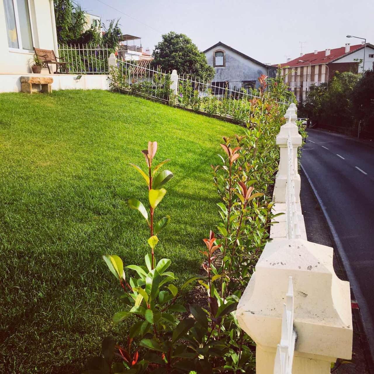 Coimbraameias Esterno foto